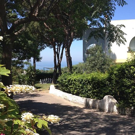Paradiso Terme Resort & Spa Con 5 Piscine Termali Forio di Ischia Zewnętrze zdjęcie