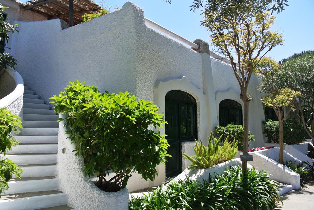Paradiso Terme Resort & Spa Con 5 Piscine Termali Forio di Ischia Zewnętrze zdjęcie