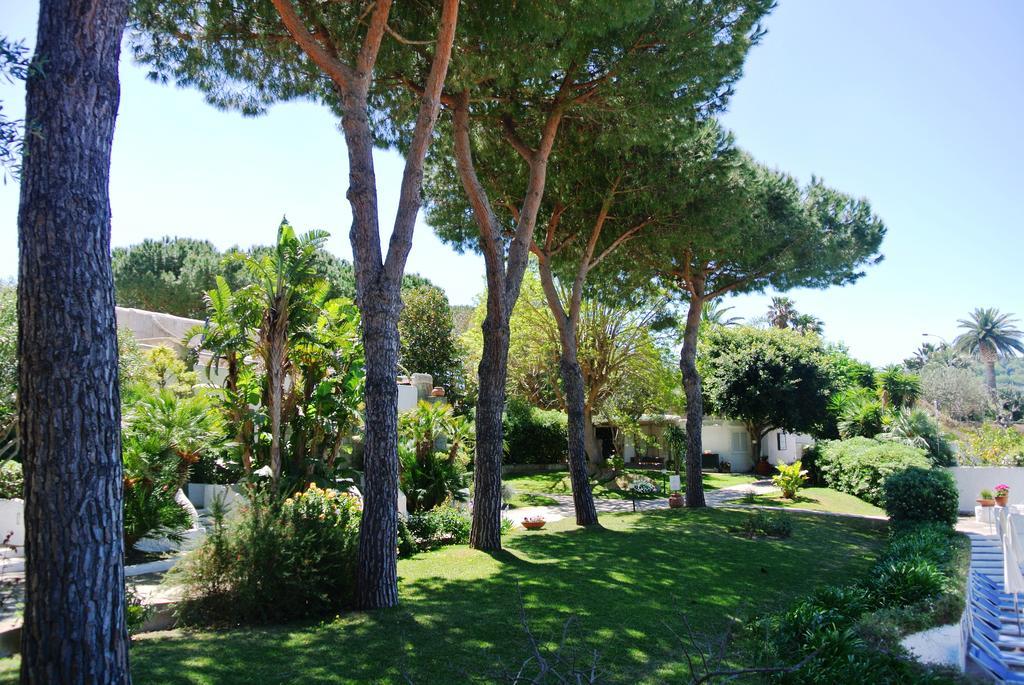 Paradiso Terme Resort & Spa Con 5 Piscine Termali Forio di Ischia Zewnętrze zdjęcie