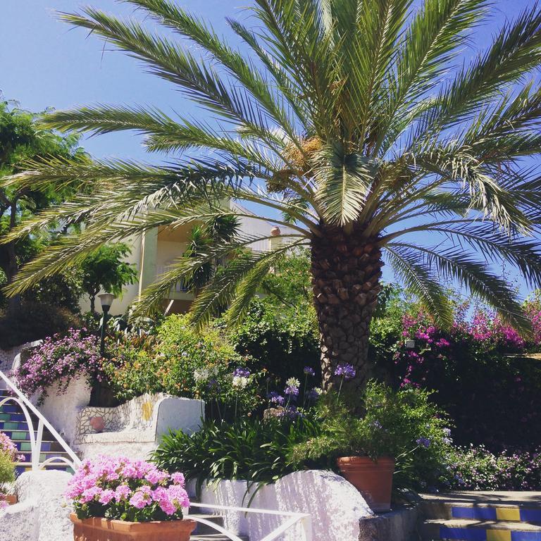 Paradiso Terme Resort & Spa Con 5 Piscine Termali Forio di Ischia Zewnętrze zdjęcie